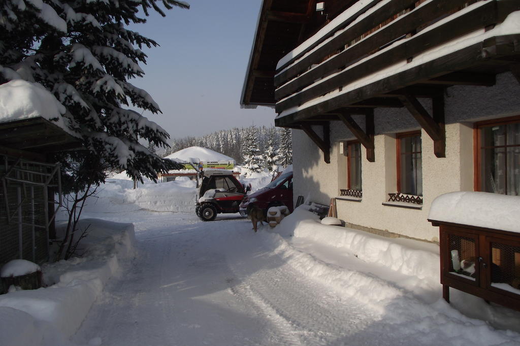 Pension U Krtka Harrachov Exterior foto