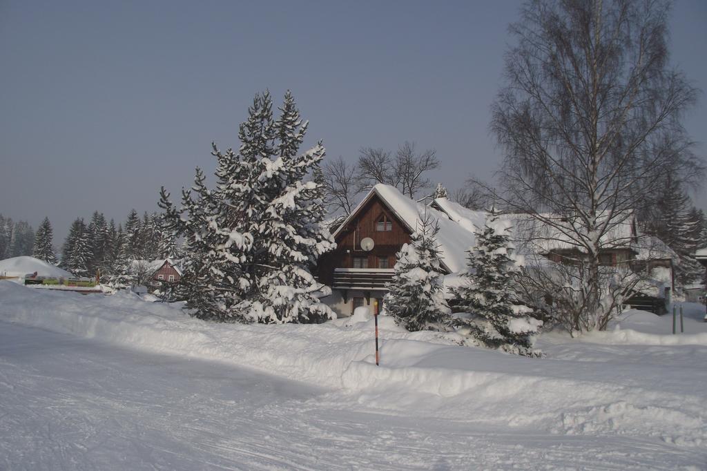 Pension U Krtka Harrachov Exterior foto